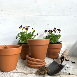 עציץ טרקוטה עם תחתית תואמת