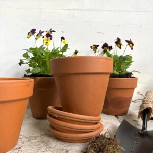 עציץ טרקוטה עם תחתית תואמת