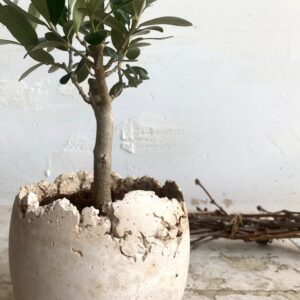 ביצי בטון עבודת יד ע״י אומן בטון